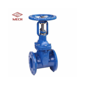 NRS GATE VALVE